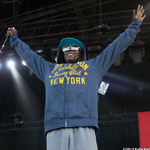 Ruisrock 2015 | Public Enemy (42/280)